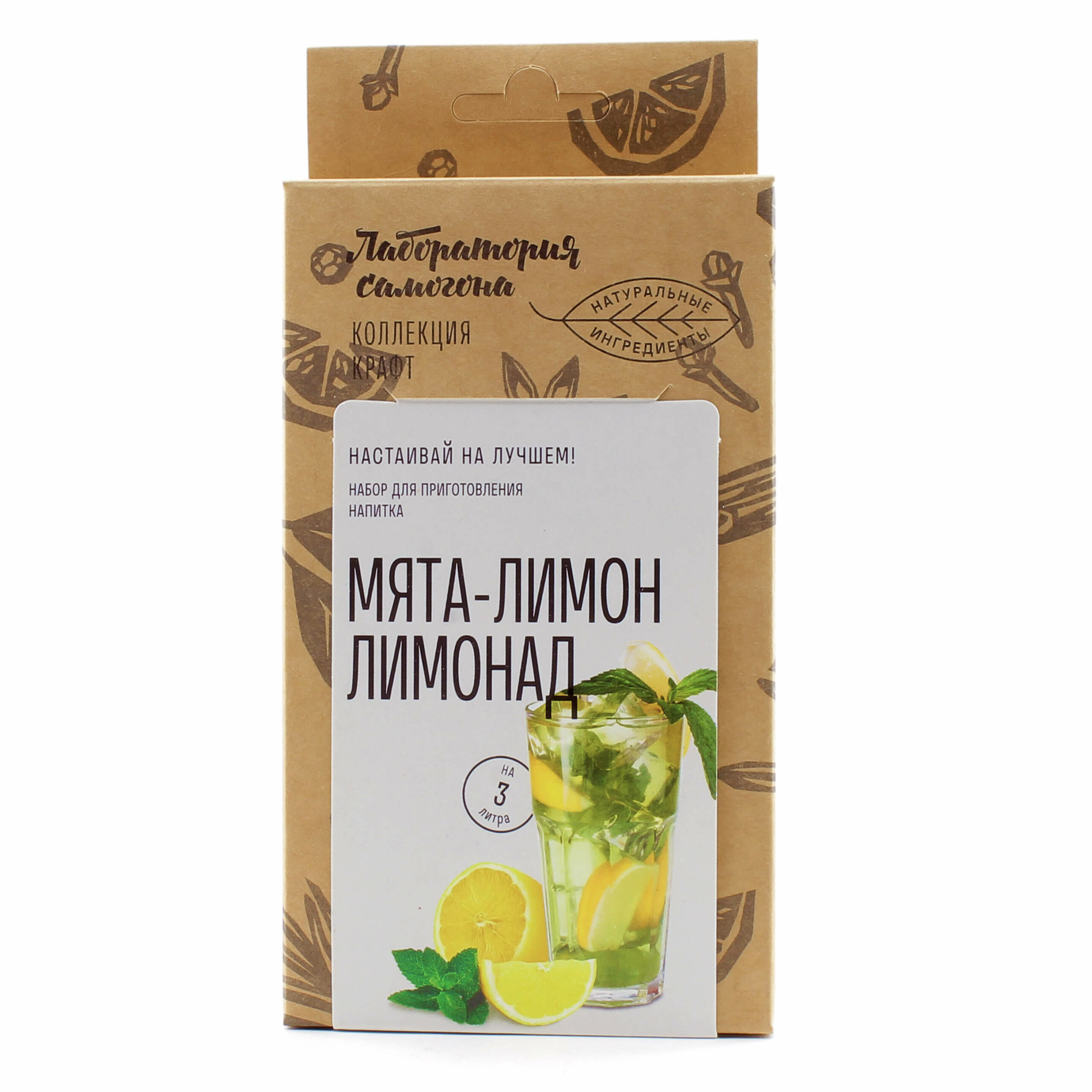 Набор для приготовления лимонада Мята-лимон, СамоЛаб